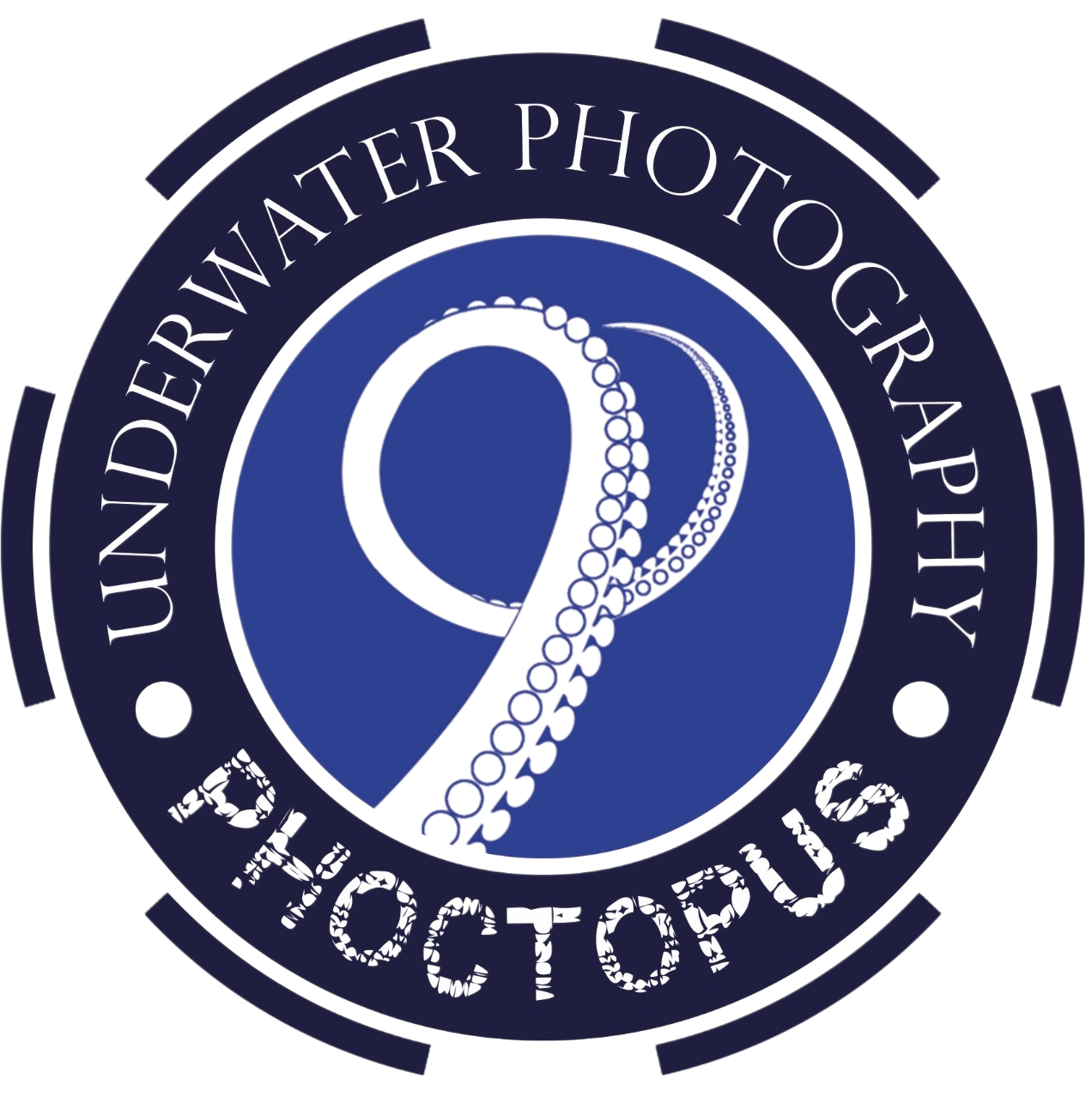 Logo Phoctopus